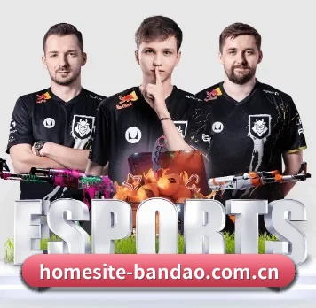 homesite-bandao.com.cn APP